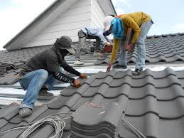 Best Sheet Metal Roofing  in Albany, MN